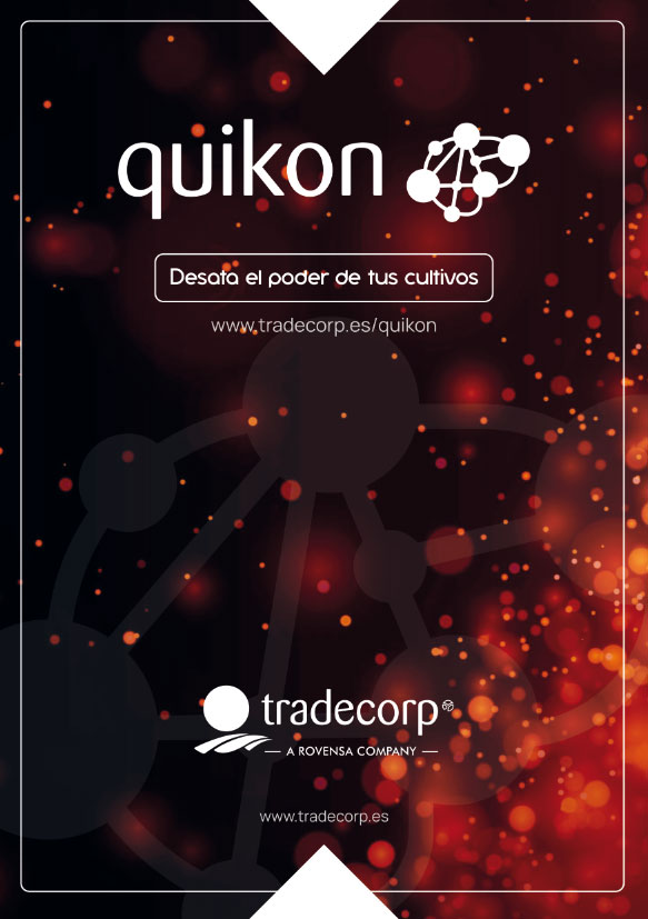 Quikon portada